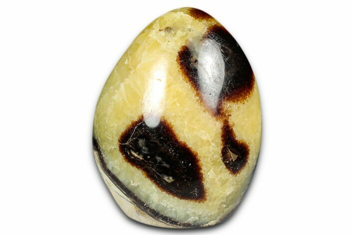 Free-Standing, Polished Septarian - Madagascar #349897